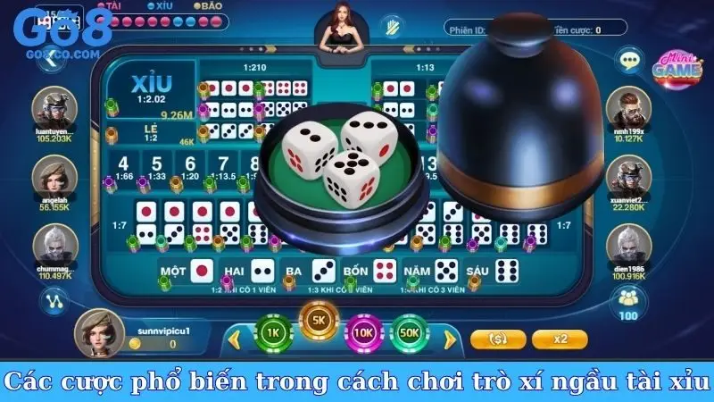 Các cược phổ biến trong cách chơi trò xí ngầu tài xỉu