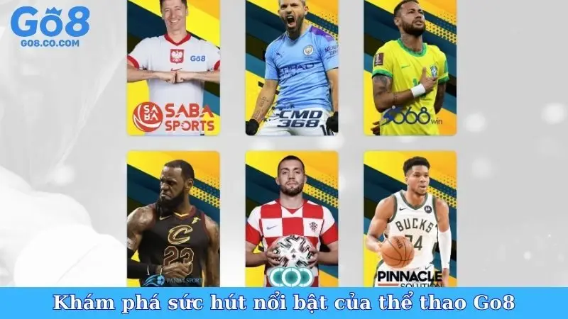 Khám phá sức hút nổi bật của thể thao Go8